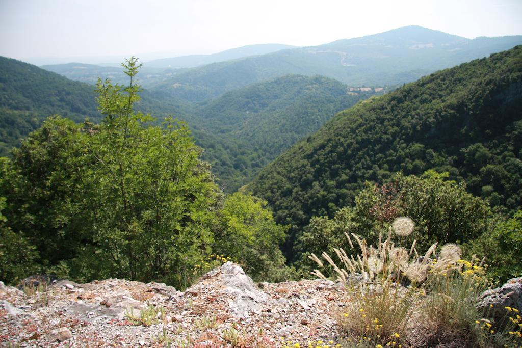 MontieriBorgo Fango公寓 外观 照片